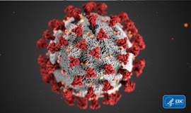 Simple Steps You Can Take to Prevent Illnesses